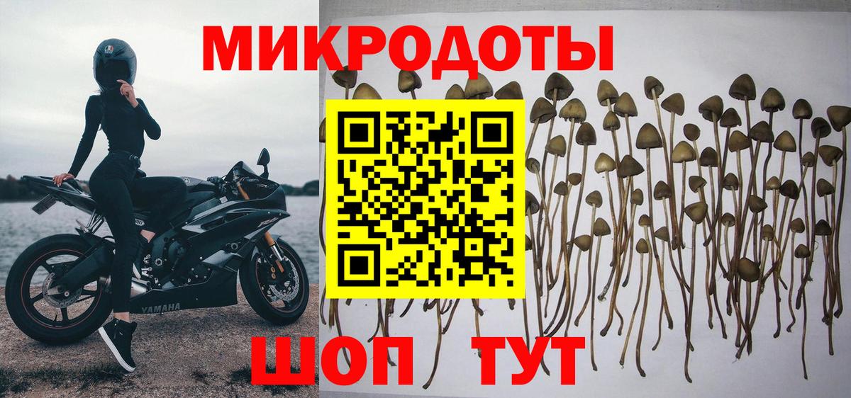 Галлюциногенные грибы ЛСД Оренбург