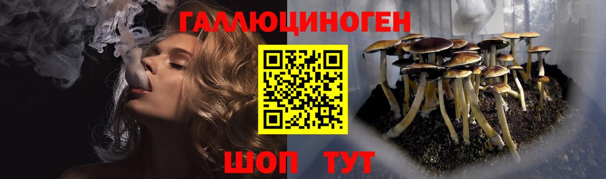 Псилоцибиновые грибы Cubensis  Вход с VPN  Оренбург  Галлюциногенные грибы мицелий 